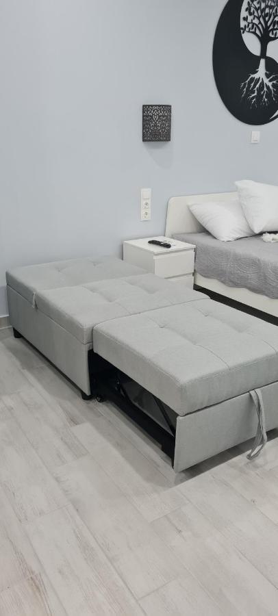 Cozy Apartment With Garden Near Town Center, Fully Renovated. Atina Dış mekan fotoğraf